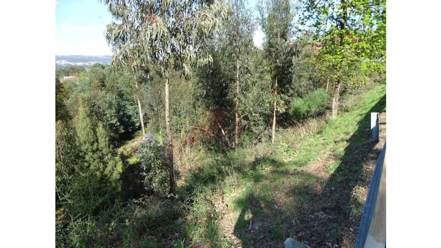 Terreno para Venda em São Gens Foto 18