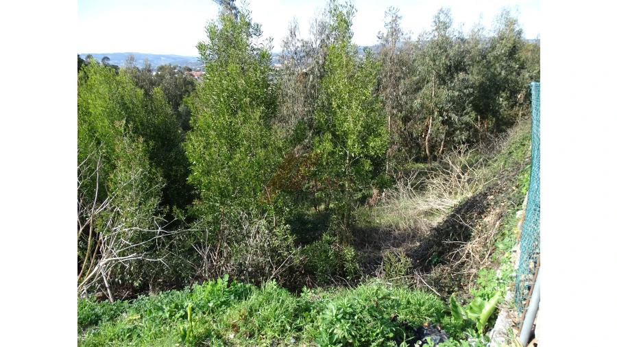 Terreno para Venda em São Gens Foto 9