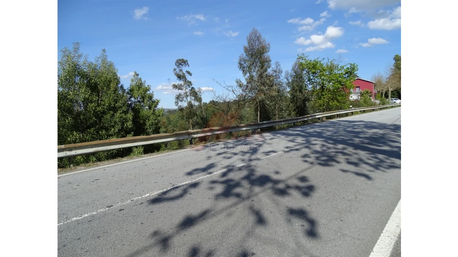 Terreno para Venda em São Gens Foto 8
