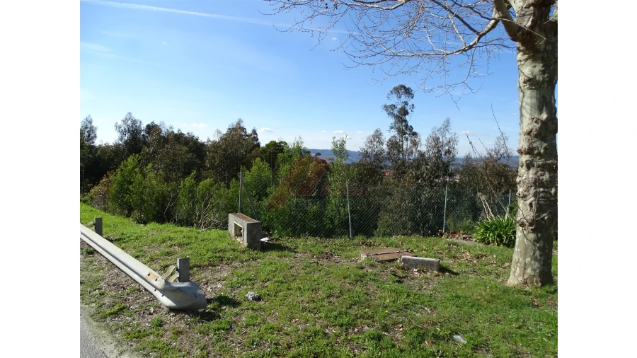 Terreno para Venda em São Gens Foto 14