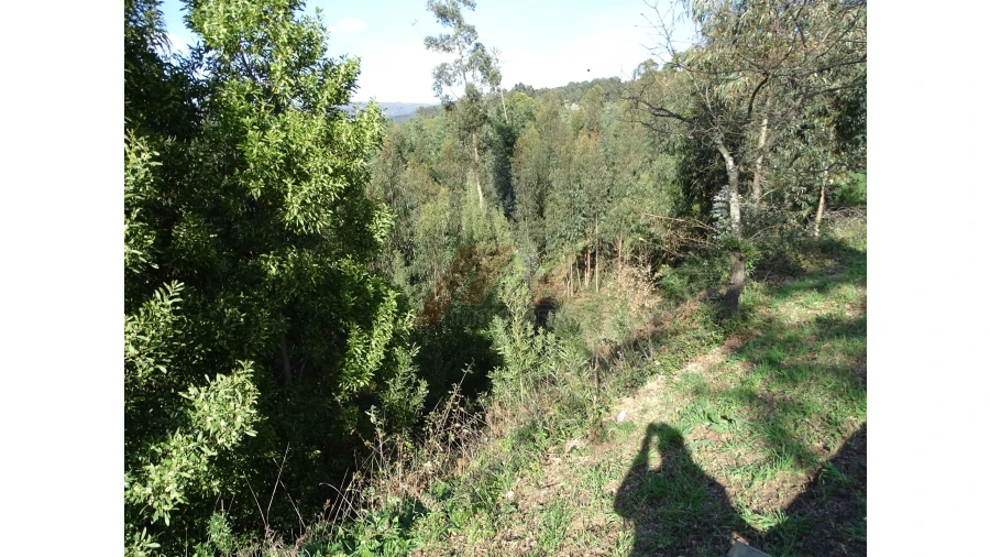Terreno para Venda em São Gens Foto 10