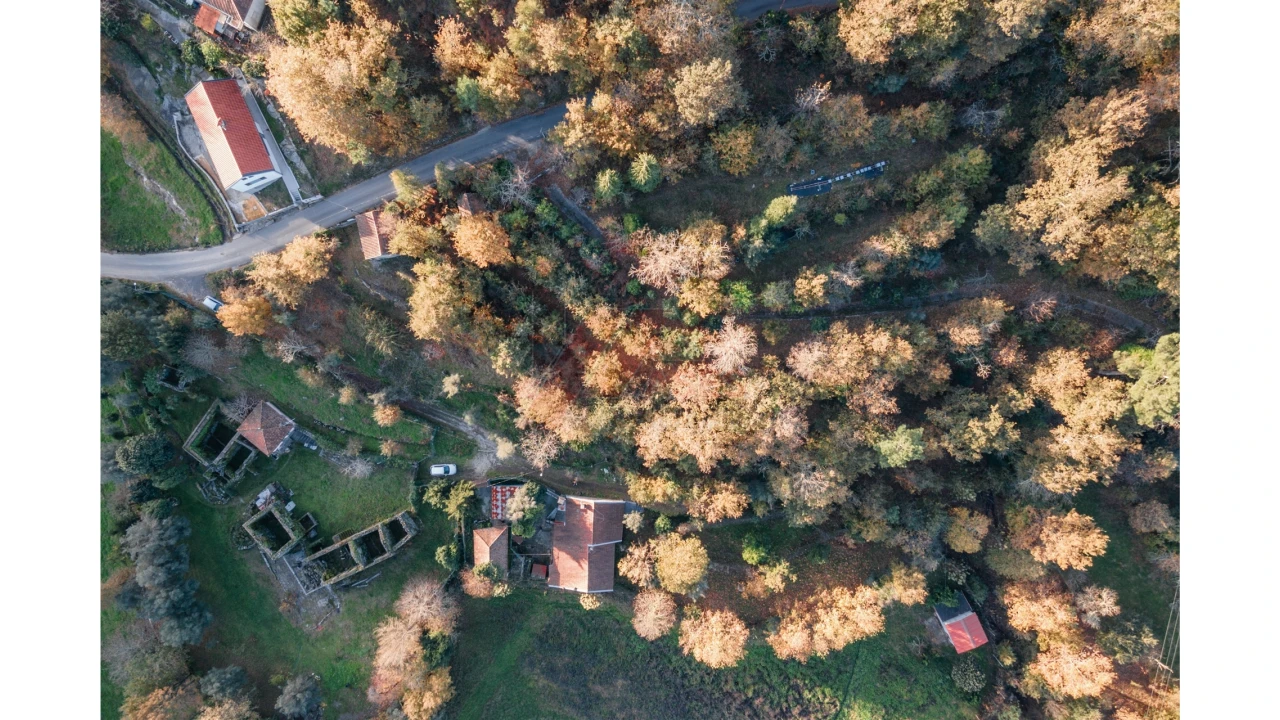 Terreno para Venda em Travassos Foto 8