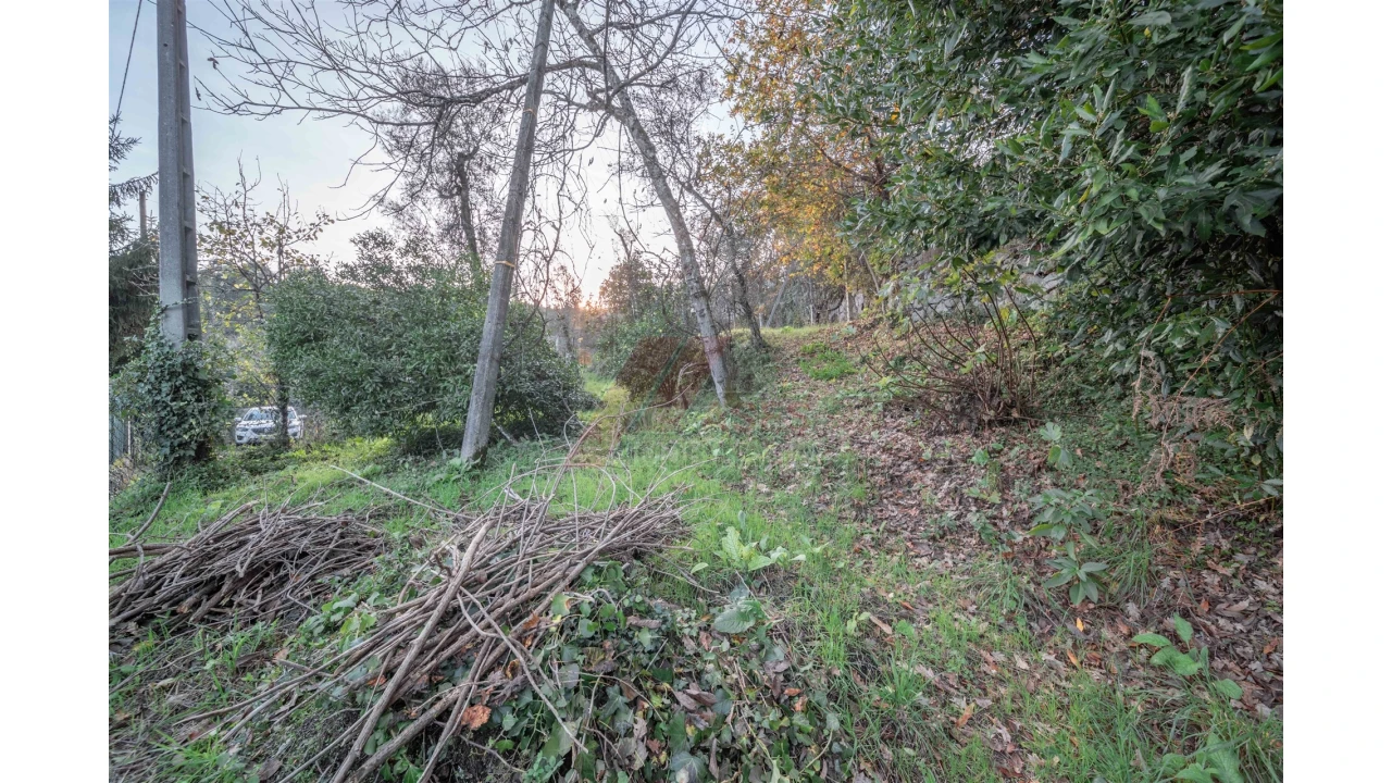 Terreno para Venda em Travassos Foto 5
