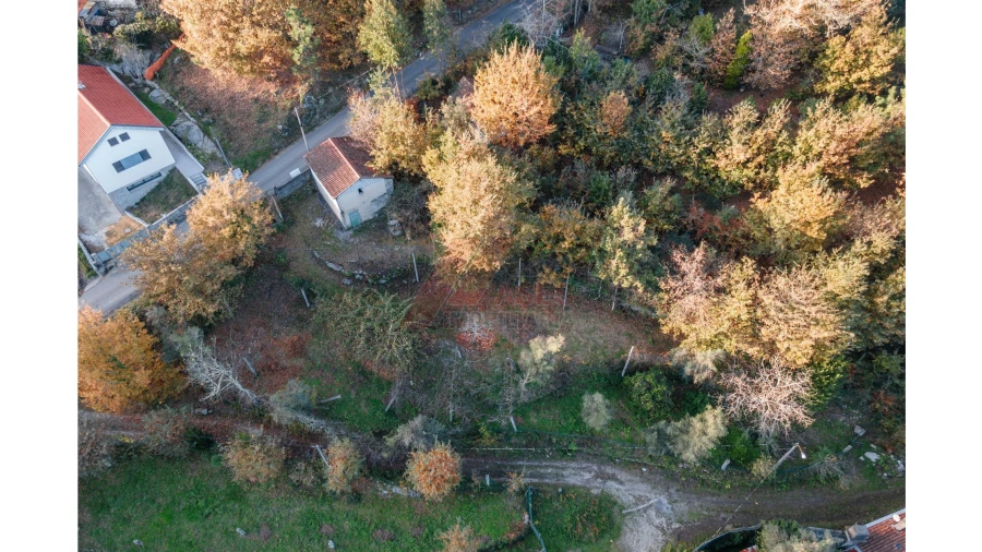 Terreno para Venda em Travassos Foto 3