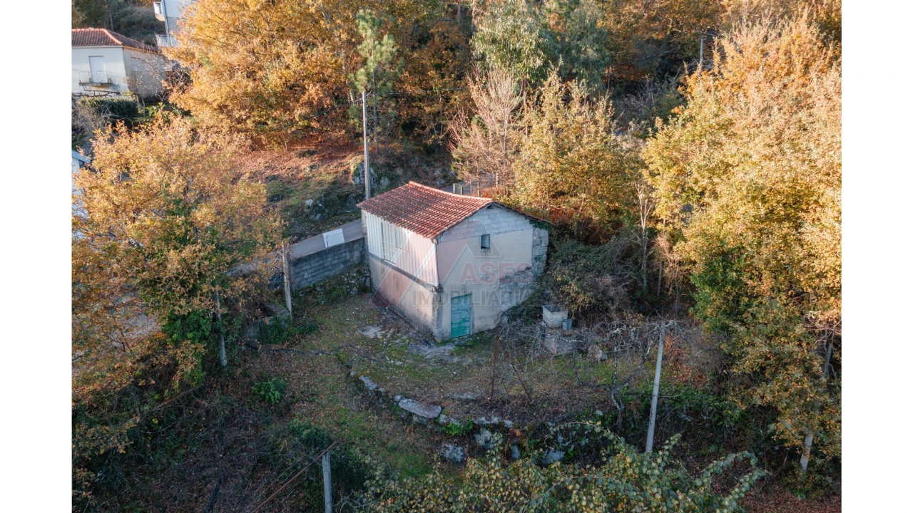 Terreno para Venda em Travassos Foto 1