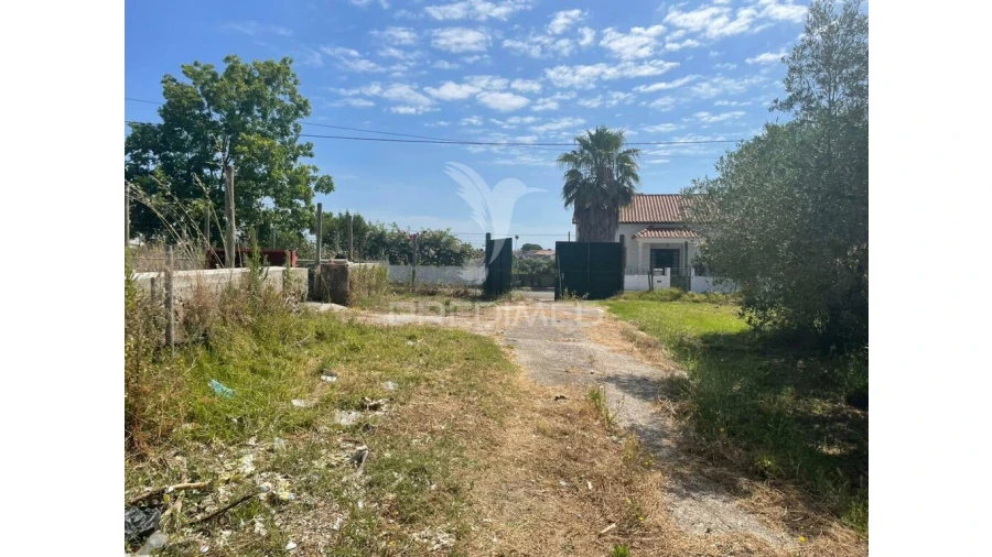 Moradia para Venda em Manique do Intendente, Vila Nova de São Pedro e Maçussa Foto 5