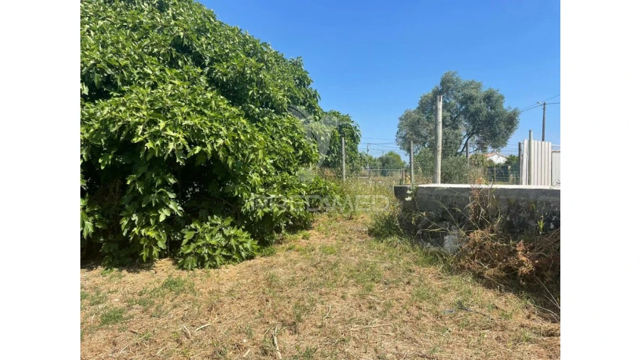 Moradia para Venda em Manique do Intendente, Vila Nova de São Pedro e Maçussa Foto 4