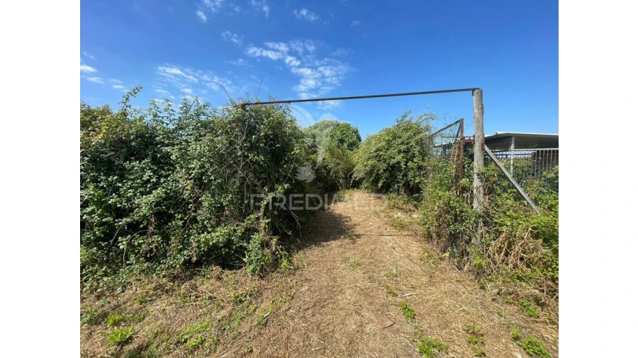 Moradia para Venda em Manique do Intendente, Vila Nova de São Pedro e Maçussa Foto 7