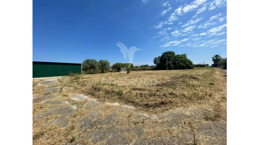 Moradia para Venda em Manique do Intendente, Vila Nova de São Pedro e Maçussa Foto 8
