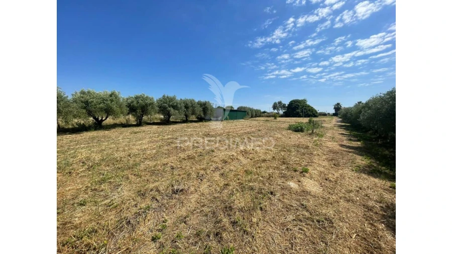 Moradia para Venda em Manique do Intendente, Vila Nova de São Pedro e Maçussa Foto 6