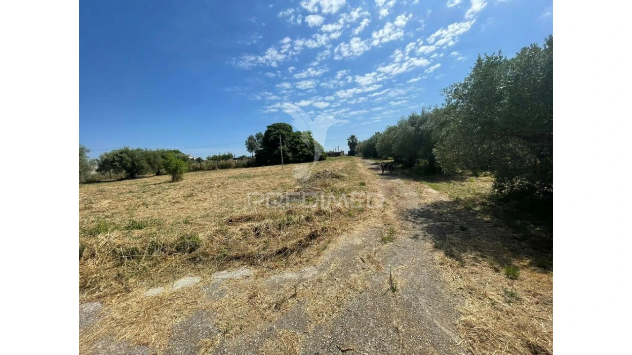 Moradia para Venda em Manique do Intendente, Vila Nova de São Pedro e Maçussa Foto 3
