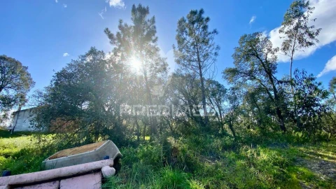 Moradia T2 para Venda em Rio Maior