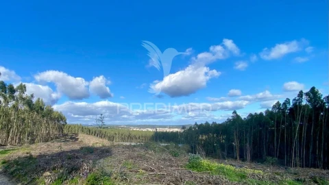 Moradia T2 para Venda em Rio Maior