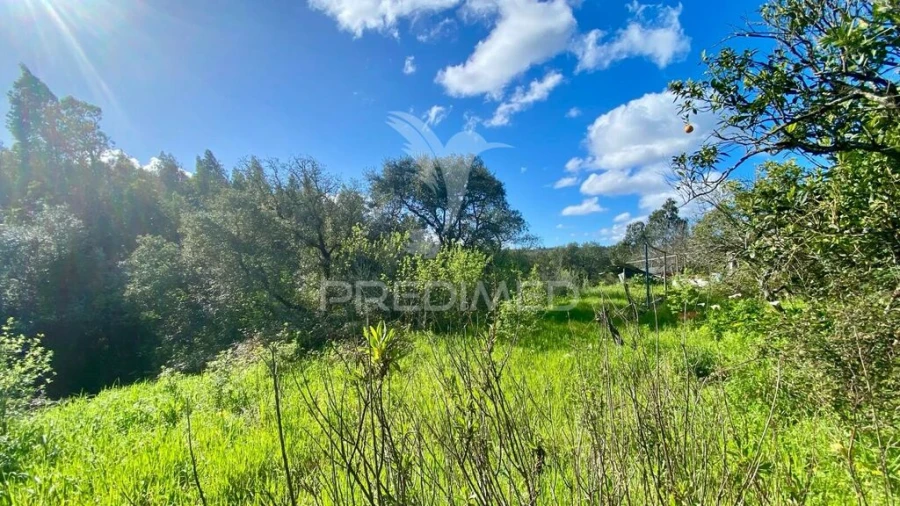 Moradia T2 para Venda em Rio Maior Foto 5