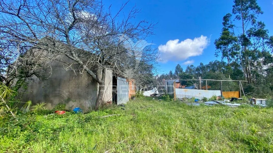 Moradia T2 para Venda em Rio Maior Foto 3