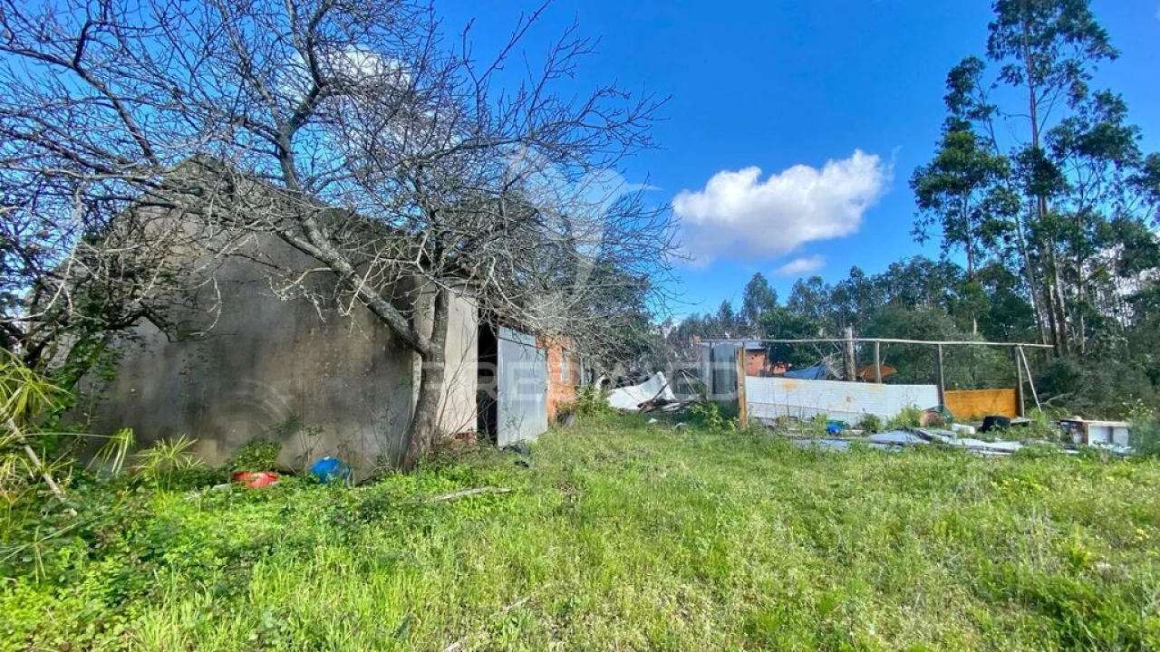 Moradia T2 para Venda em Rio Maior Foto 3