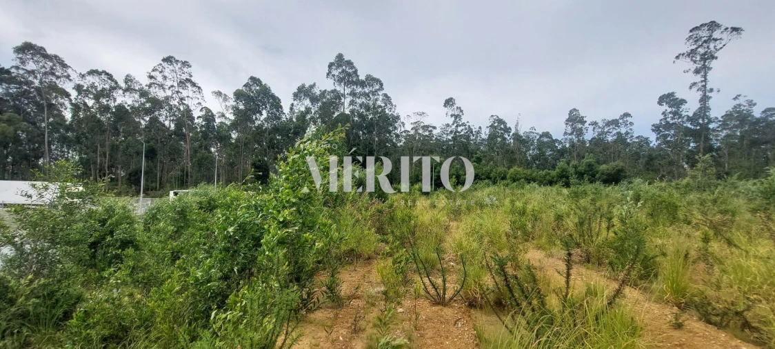 Terreno para Venda em Modivas Foto 10