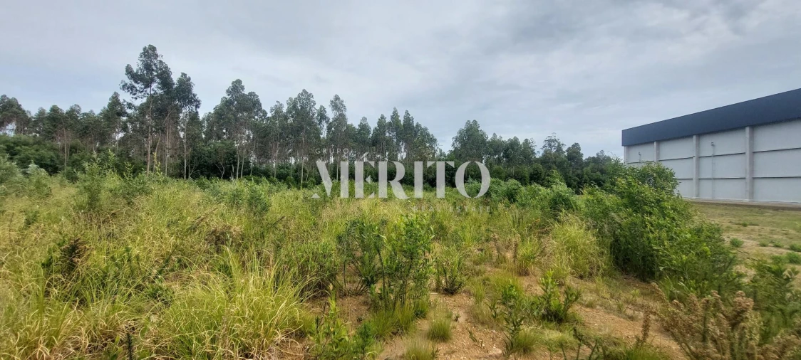 Terreno para Venda em Modivas Foto 13