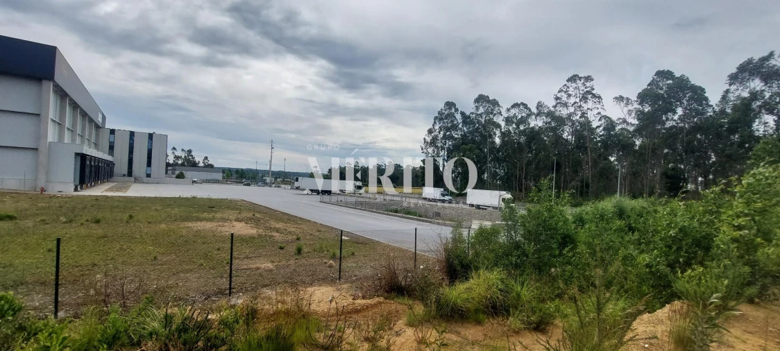 Terreno para Venda em Modivas Foto 8