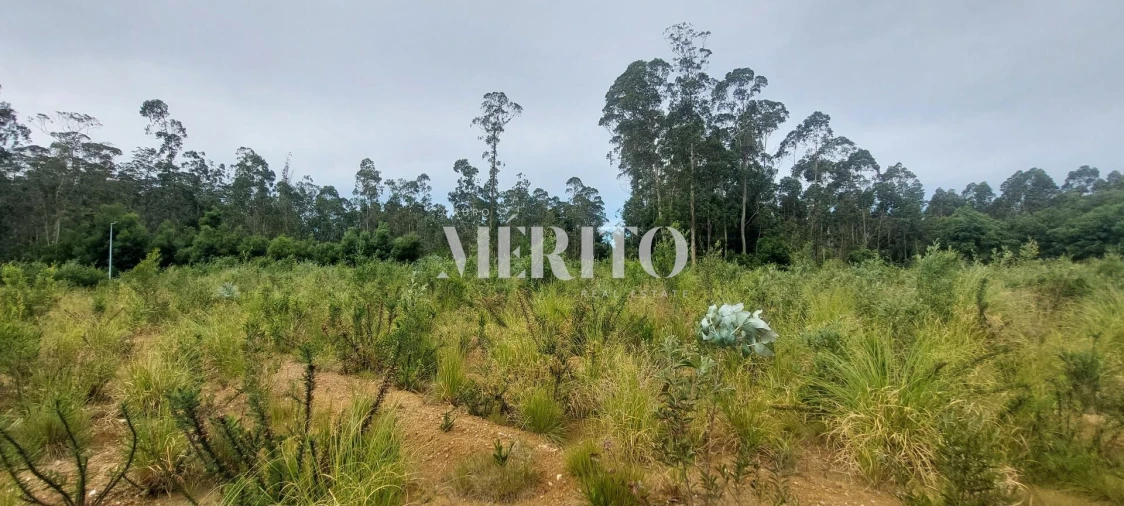 Terreno para Venda em Modivas Foto 9