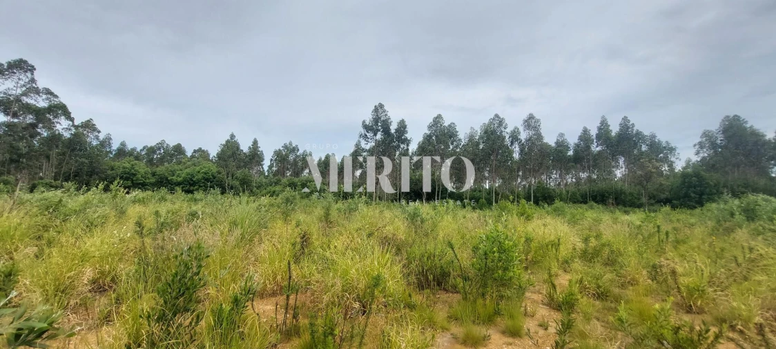 Terreno para Venda em Modivas Foto 3