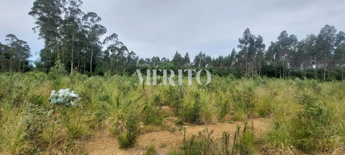 Terreno para Venda em Modivas Foto 11