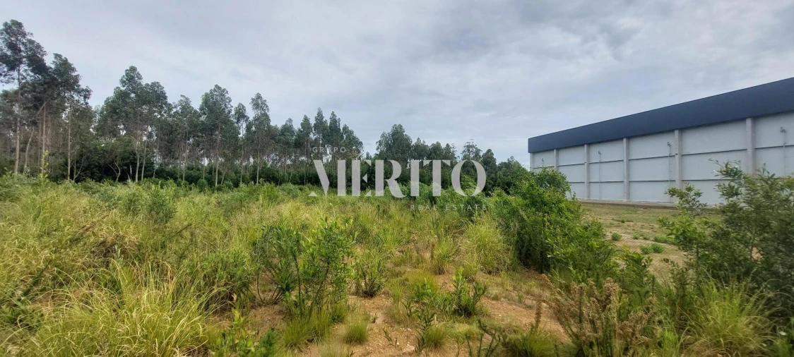 Terreno para Venda em Modivas Foto 1