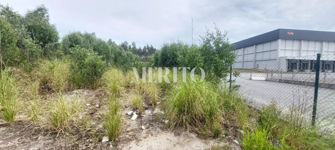 Terreno para Venda em Modivas Foto 18