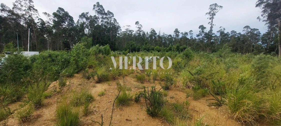 Terreno para Venda em Modivas Foto 16