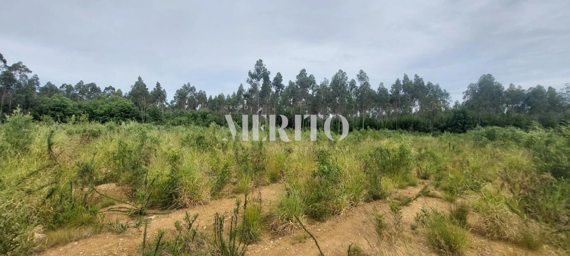 Terreno para Venda em Modivas Foto 12