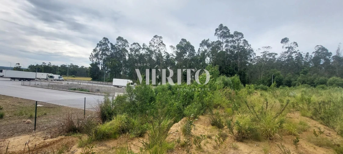 Terreno para Venda em Modivas Foto 7