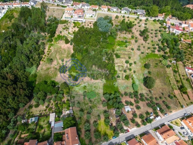 Terreno para Venda em Santo Antonio dos Olivais Foto 7