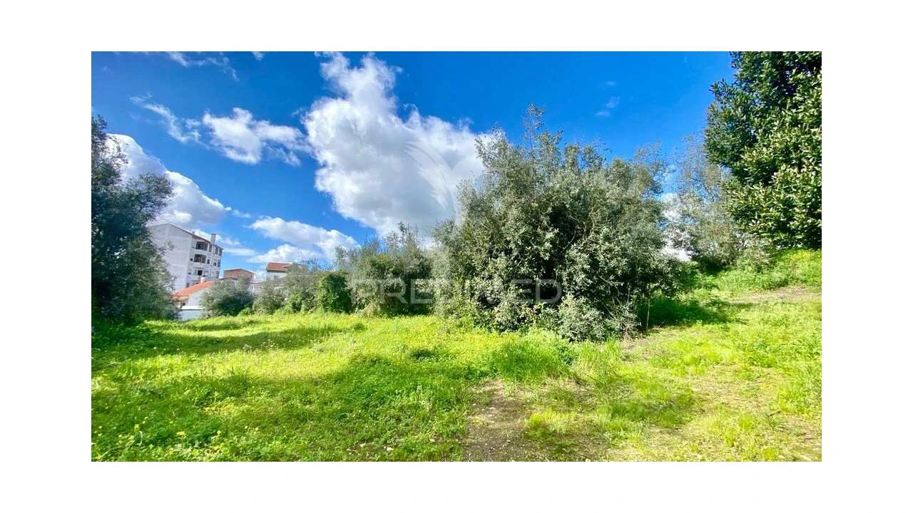 Terreno para Venda em Rio Maior Foto 1