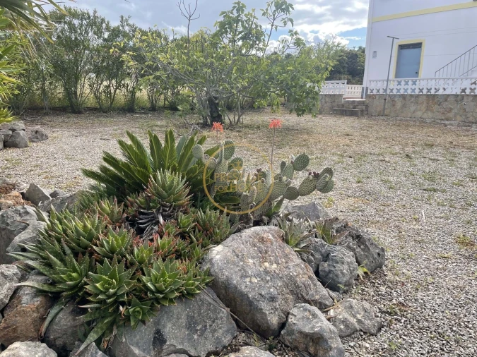 Moradia T3 para Arrendamento férias em São Brás de Alportel Foto 8