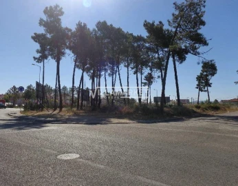 Terreno para Venda em Azeitão (São Lourenço e São Simão)