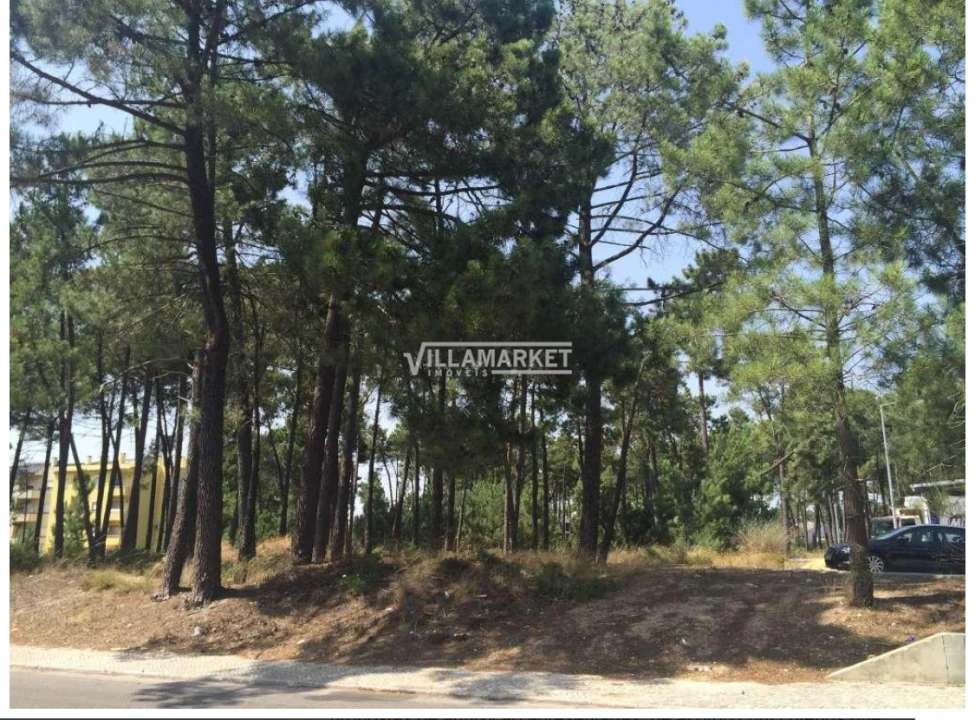 Terreno para Venda em Azeitão (São Lourenço e São Simão) Foto 1