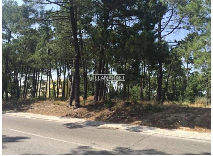 Terreno para Venda em Azeitão (São Lourenço e São Simão) Foto 3