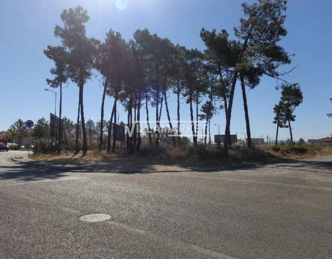 Terreno para Venda em Azeitão (São Lourenço e São Simão) Foto 2