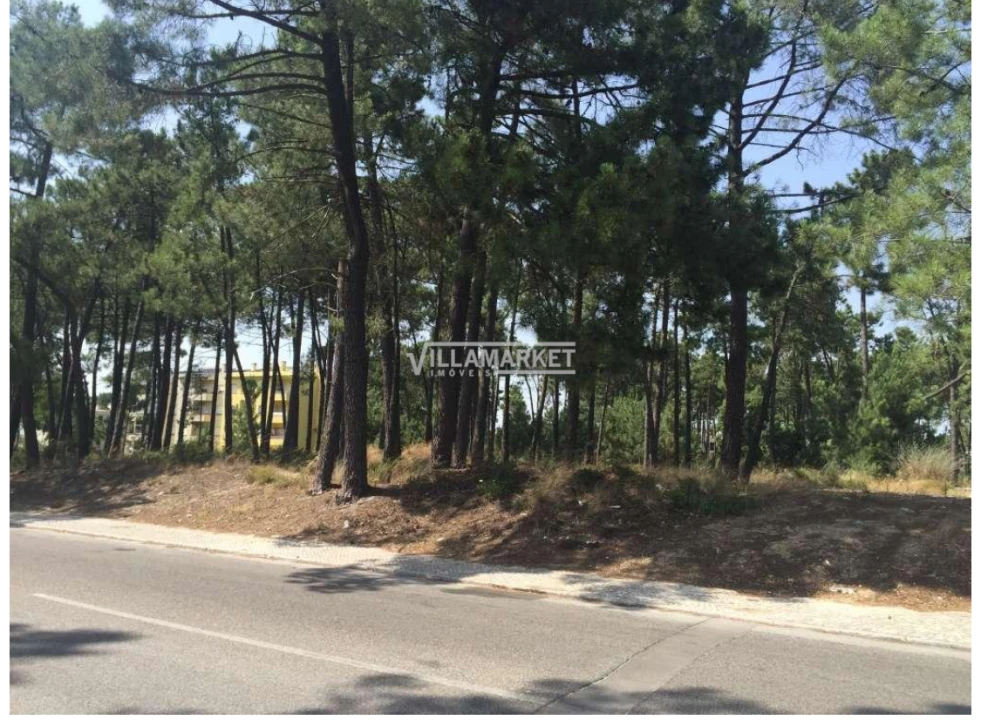 Terreno para Venda em Azeitão (São Lourenço e São Simão) Foto 3