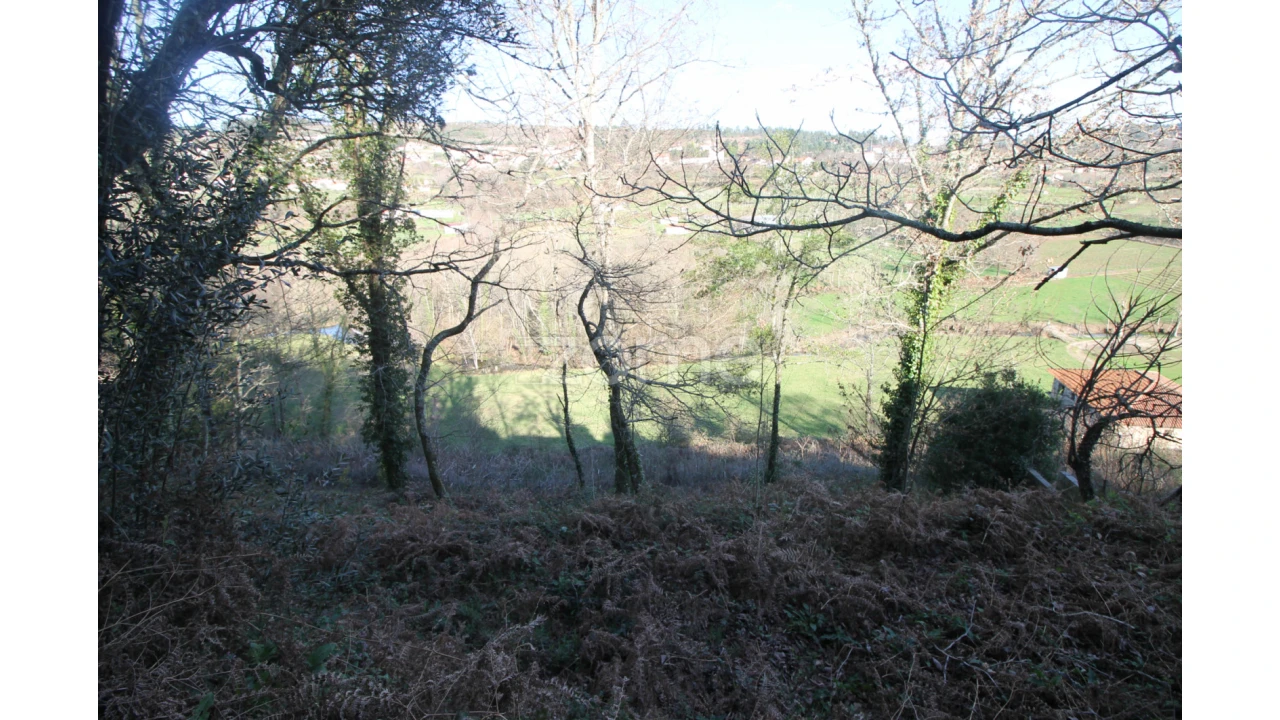 Terreno para Venda em Refojos de Basto, Outeiro e Painzela Foto 6