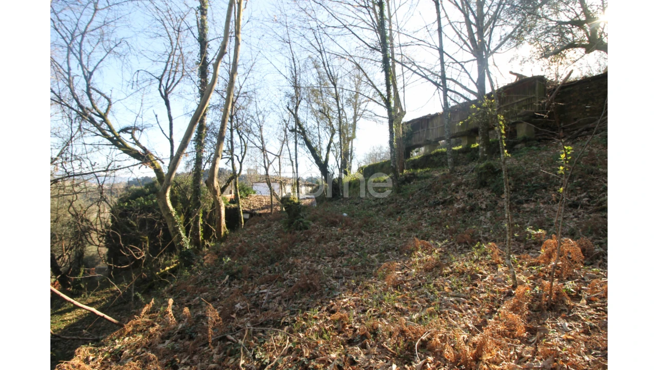 Terreno para Venda em Refojos de Basto, Outeiro e Painzela Foto 12