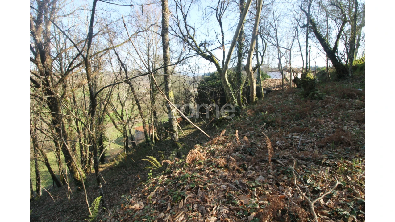Terreno para Venda em Refojos de Basto, Outeiro e Painzela Foto 15