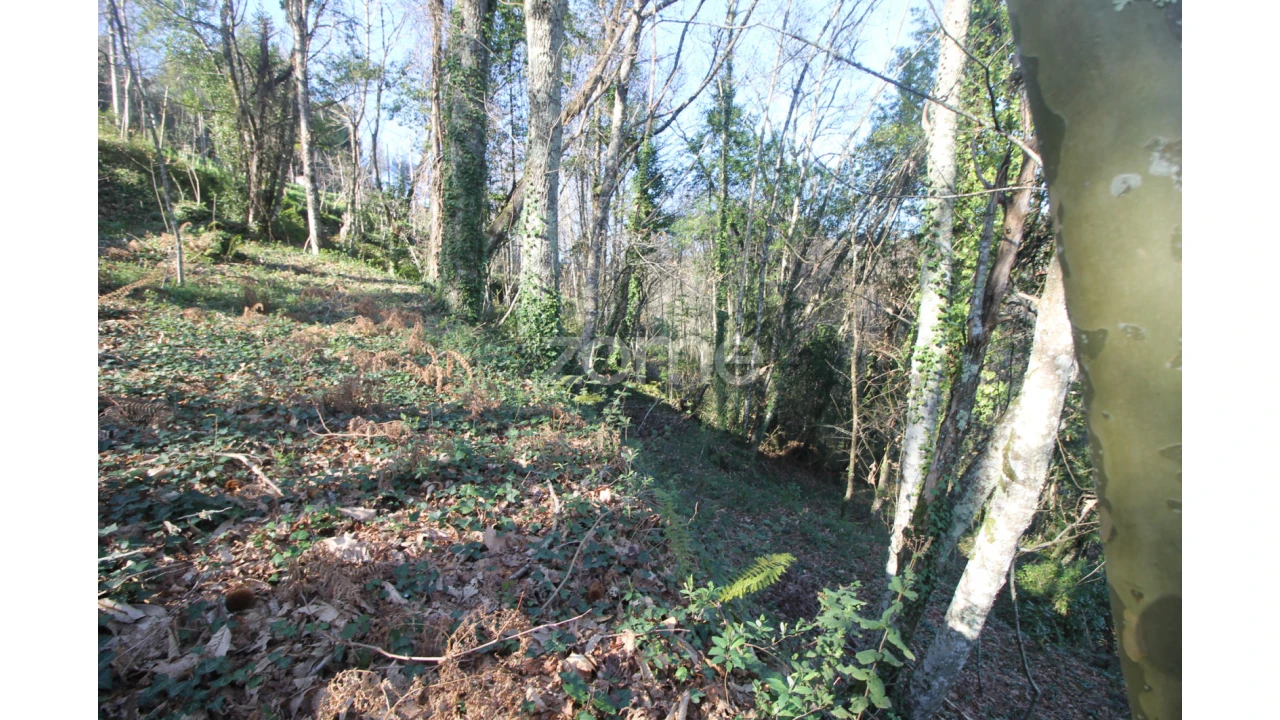 Terreno para Venda em Refojos de Basto, Outeiro e Painzela Foto 17