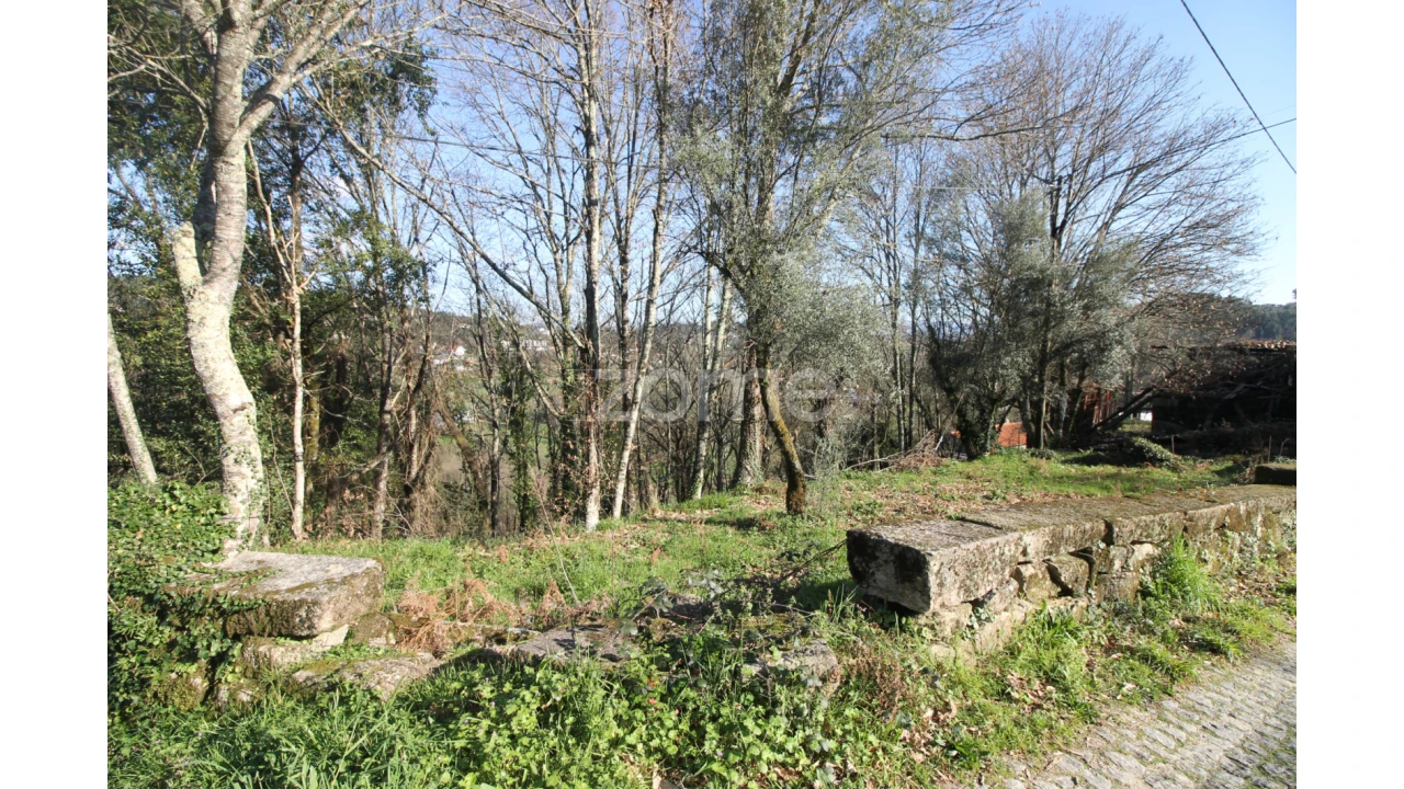 Terreno para Venda em Refojos de Basto, Outeiro e Painzela Foto 9