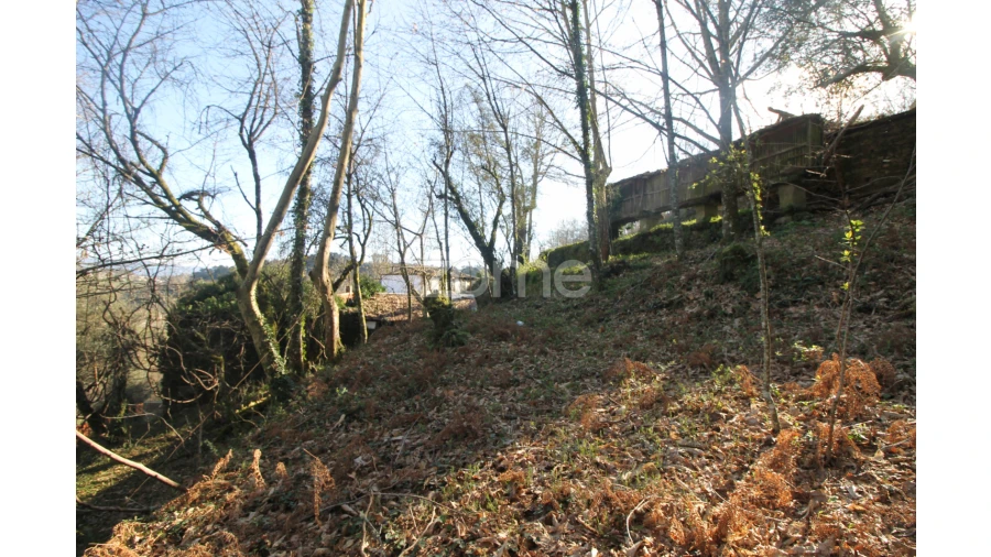 Terreno para Venda em Refojos de Basto, Outeiro e Painzela Foto 12