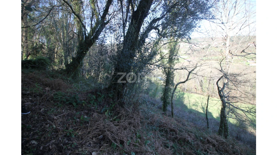 Terreno para Venda em Refojos de Basto, Outeiro e Painzela Foto 14
