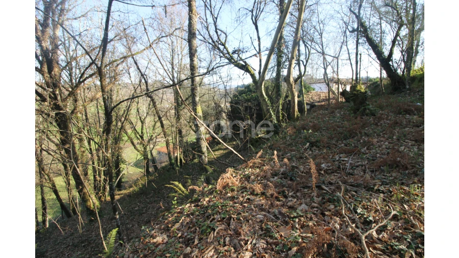 Terreno para Venda em Refojos de Basto, Outeiro e Painzela Foto 15