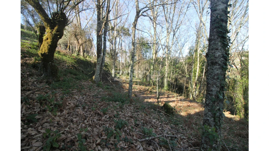 Terreno para Venda em Refojos de Basto, Outeiro e Painzela Foto 16