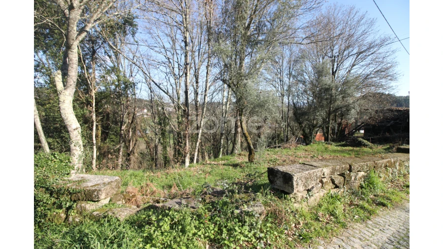 Terreno para Venda em Refojos de Basto, Outeiro e Painzela Foto 9
