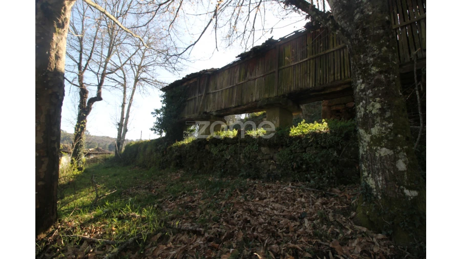 Terreno para Venda em Refojos de Basto, Outeiro e Painzela Foto 11